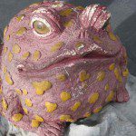 frog NLP Practitioner Certification